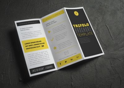 mockup-folleto-triptico-abierto_23-2147912432